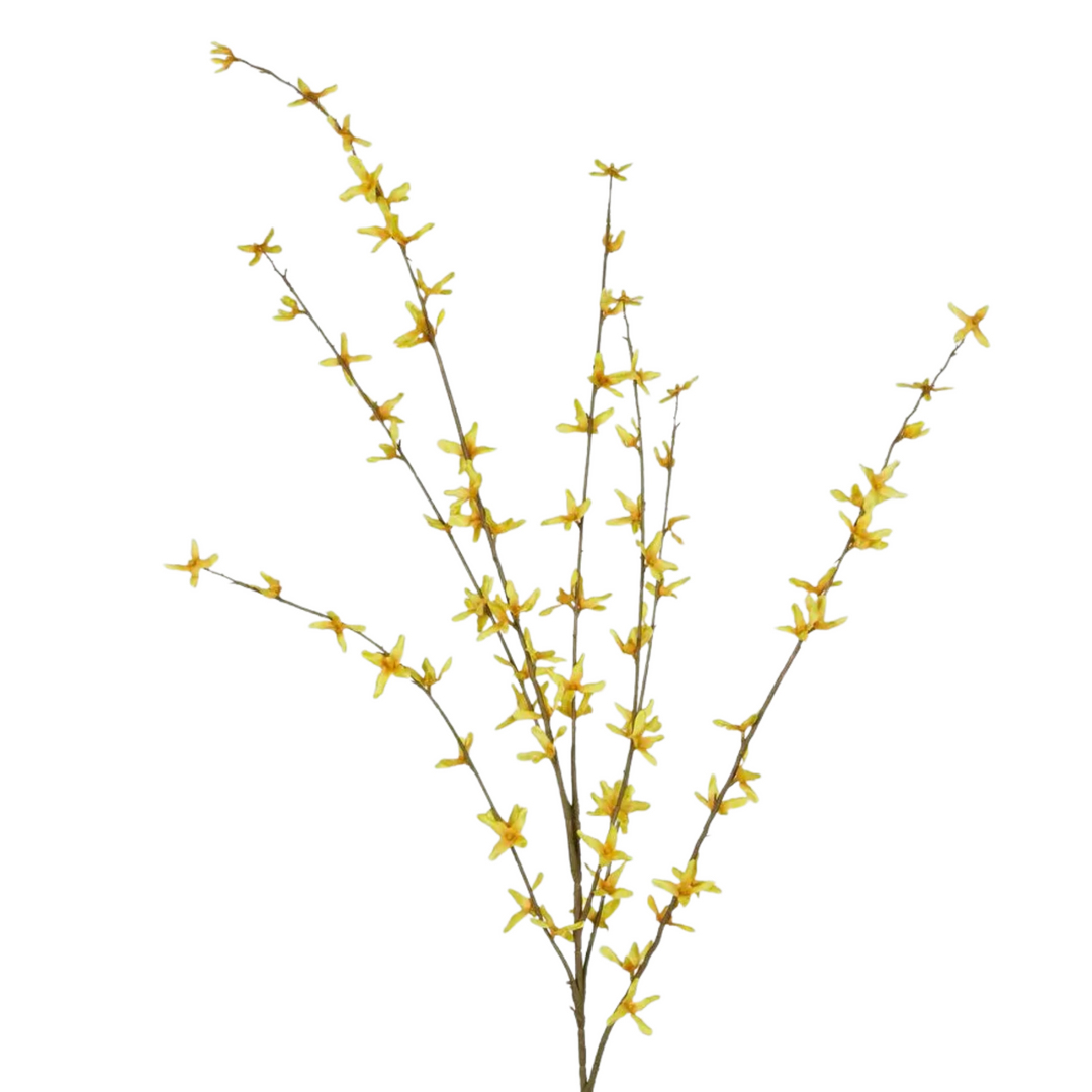Forsythia Spray