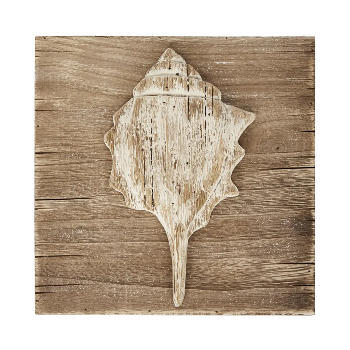 Murex Shell on Plaque