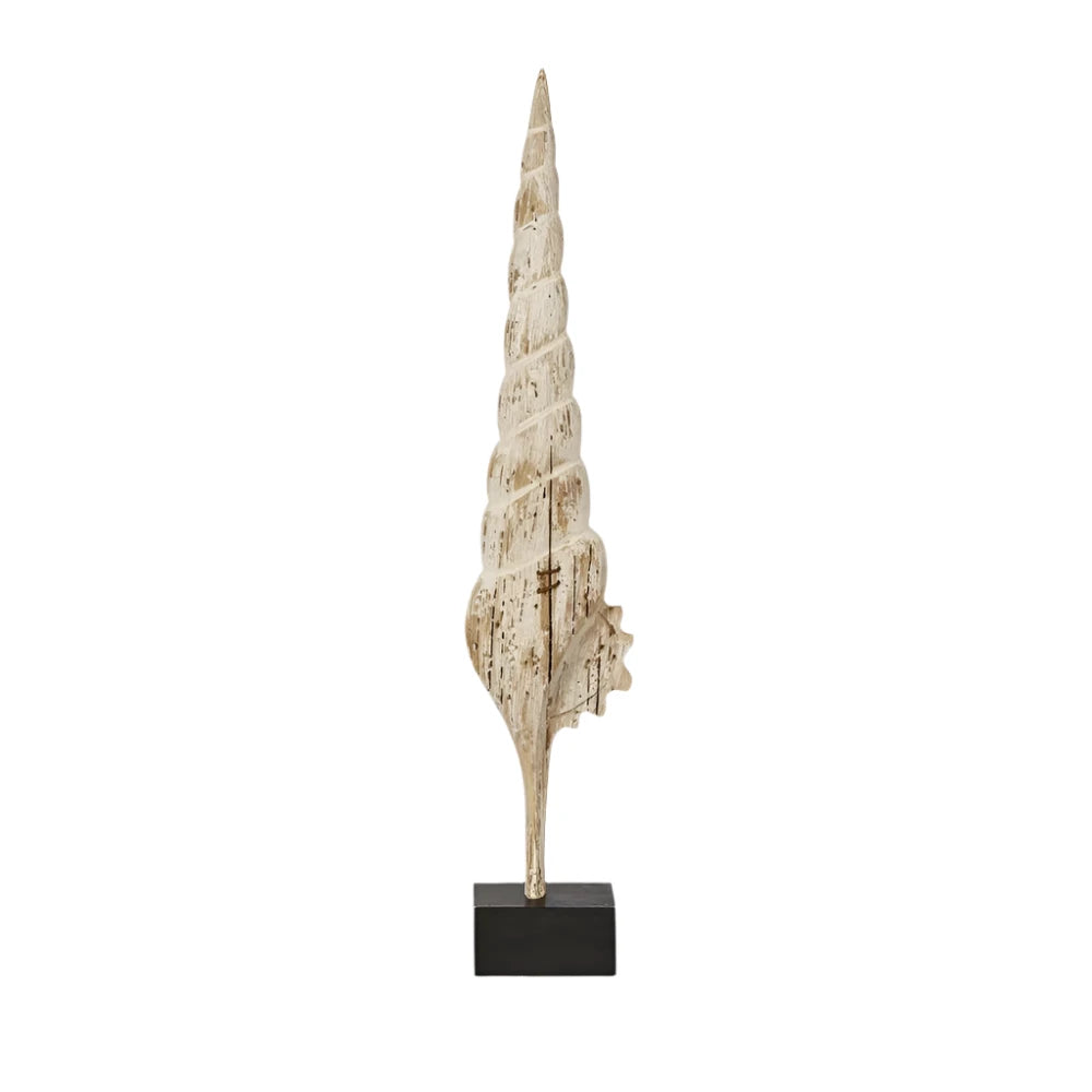 Cerith on Stand