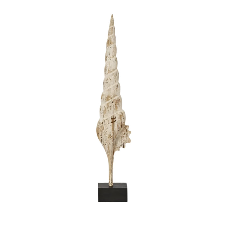 Cerith on Stand