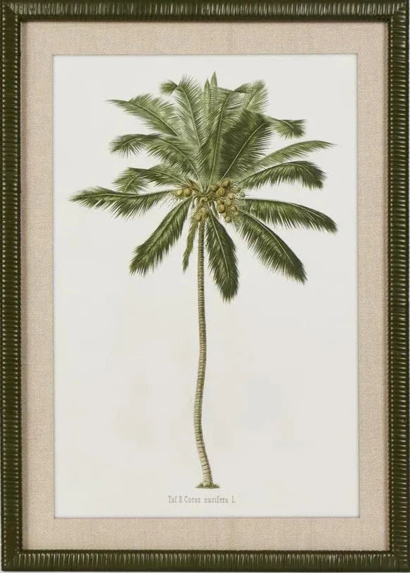 Apia Palms Wall Art A