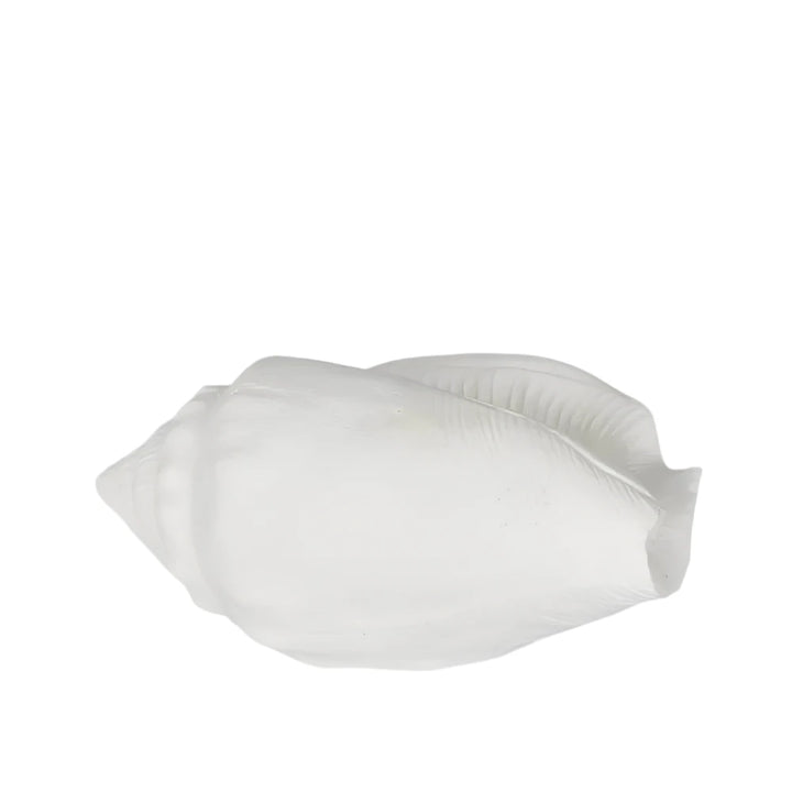 Shore White Sea Snail 20X11X9CM