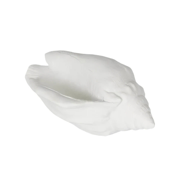 Shore White Sea Snail 20X11X9CM