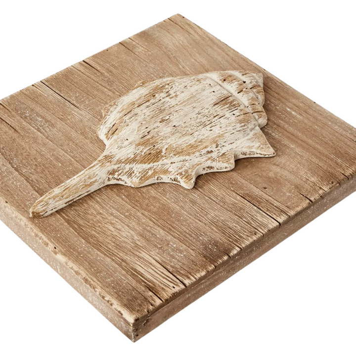 Murex Shell on Plaque