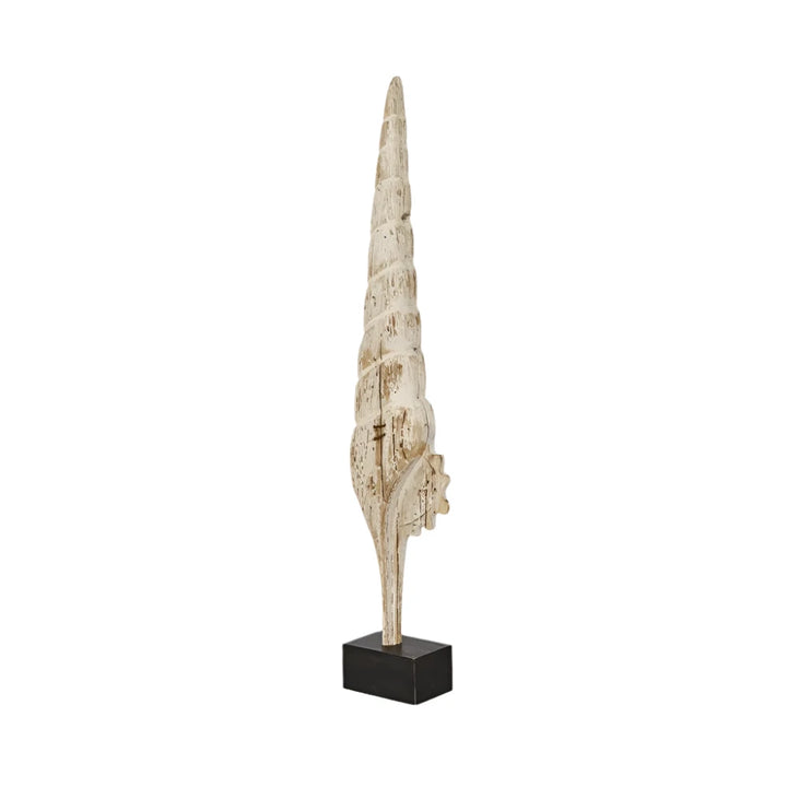 Cerith on Stand