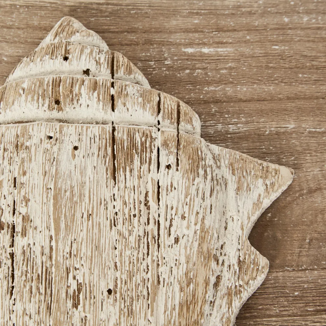 Murex Shell on Plaque