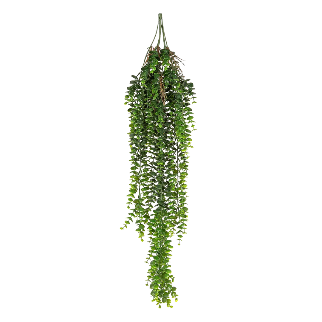 Staghorn Hanging 80cm