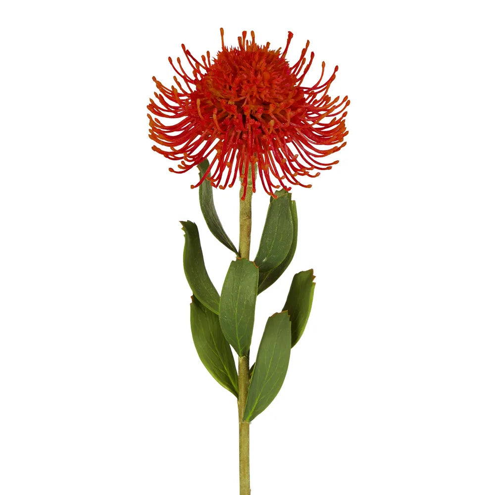 Pincushion Flower Stem 58cm