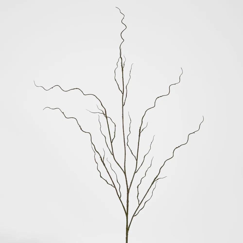 Curly Twig