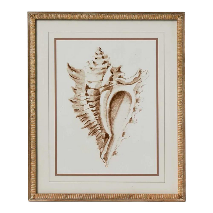 Conch Shell Wall Art A