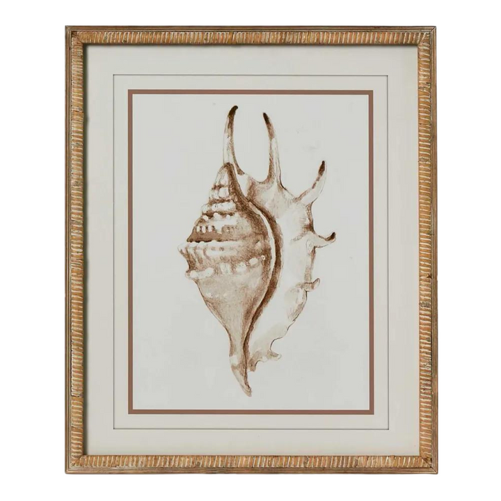 Conch Shell Wall Art B