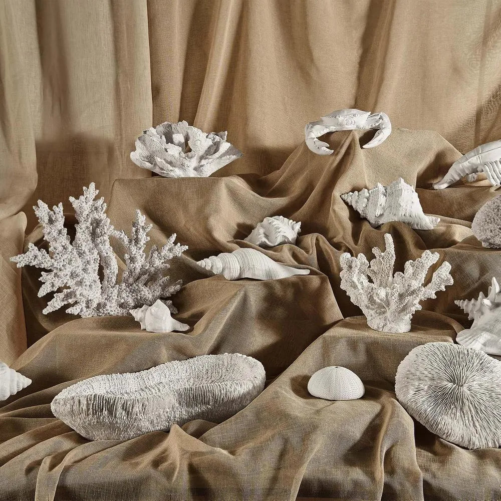 Haven White Coral Bowl 36X18X9CM