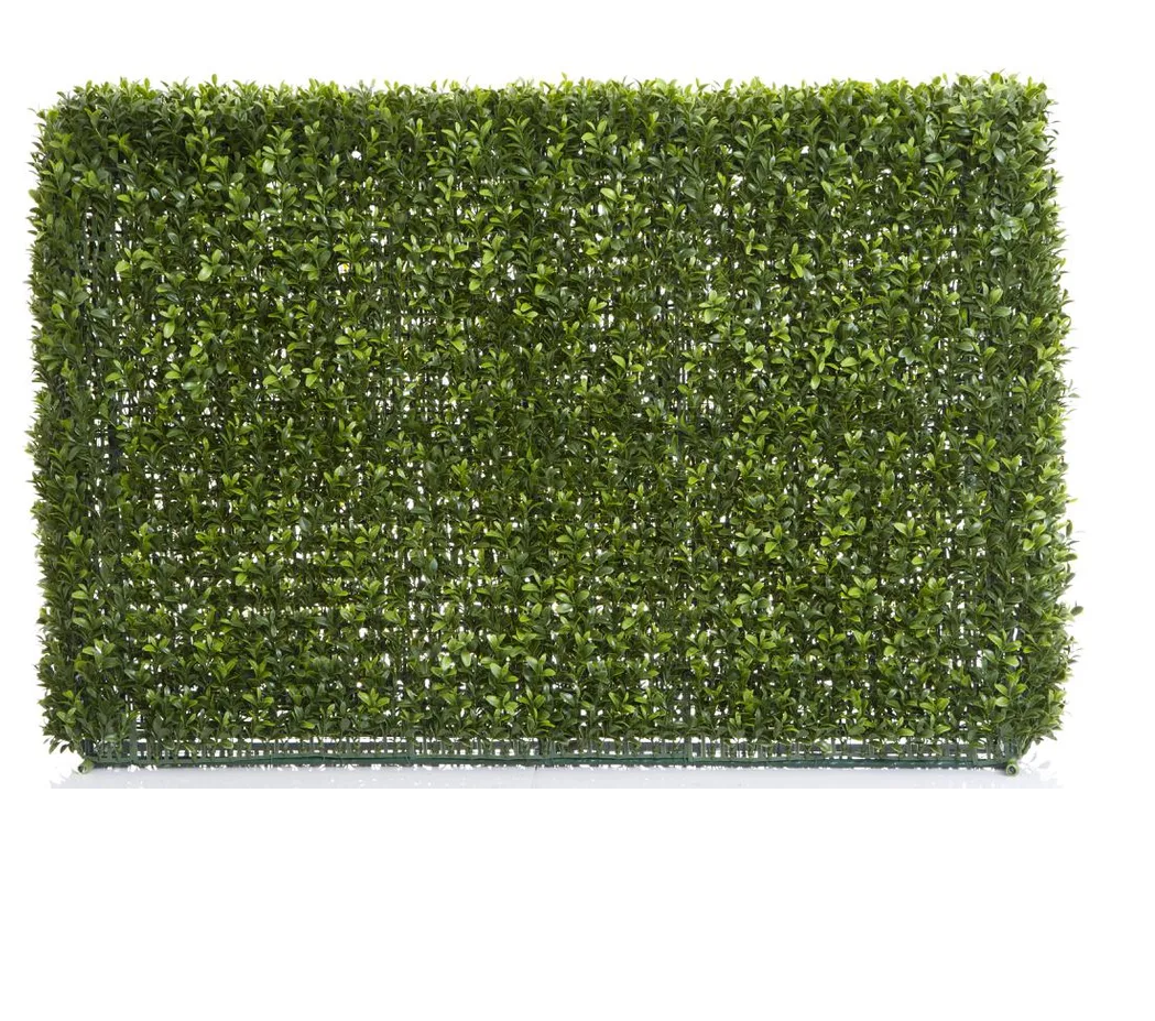 Boxwood Hedge 55x95cm
