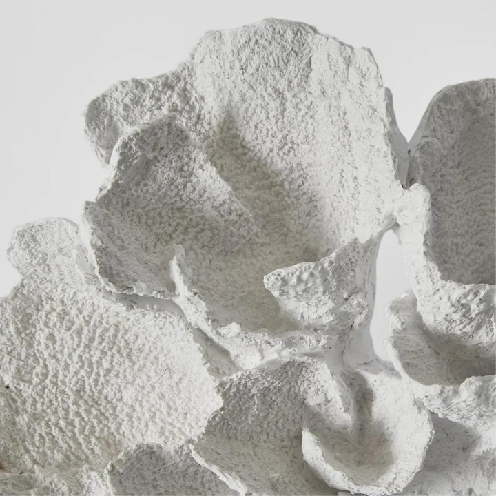 Laguna White Coral 26.5X14.5X13.5CM