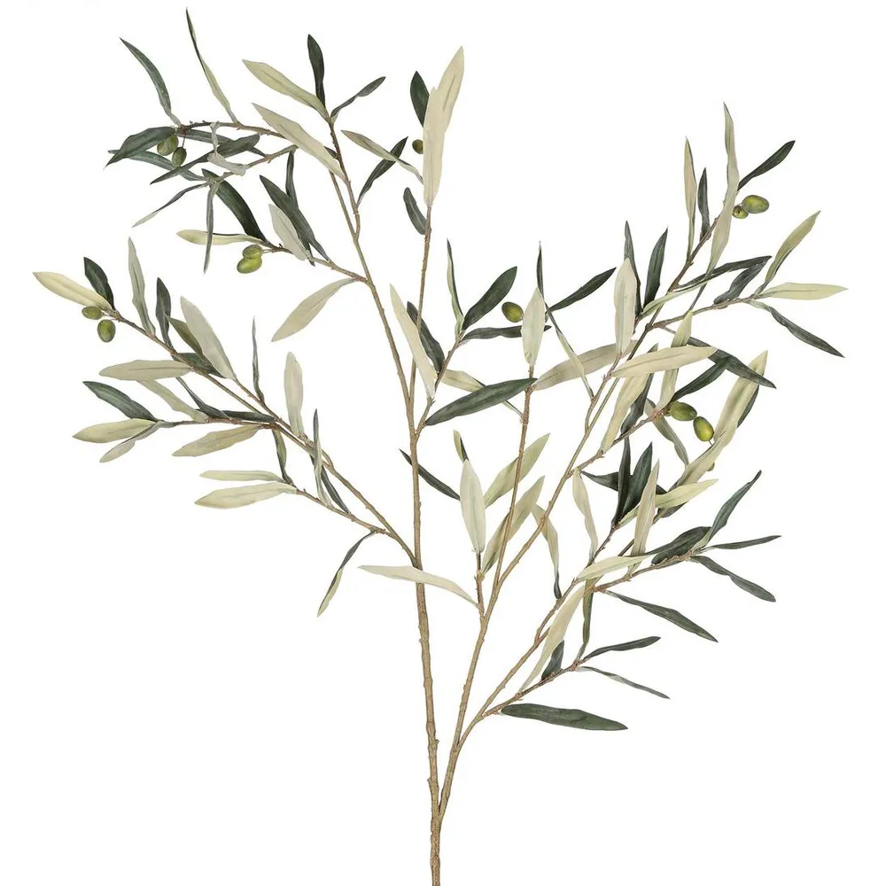 Olive Leaf Branch 94cm Green