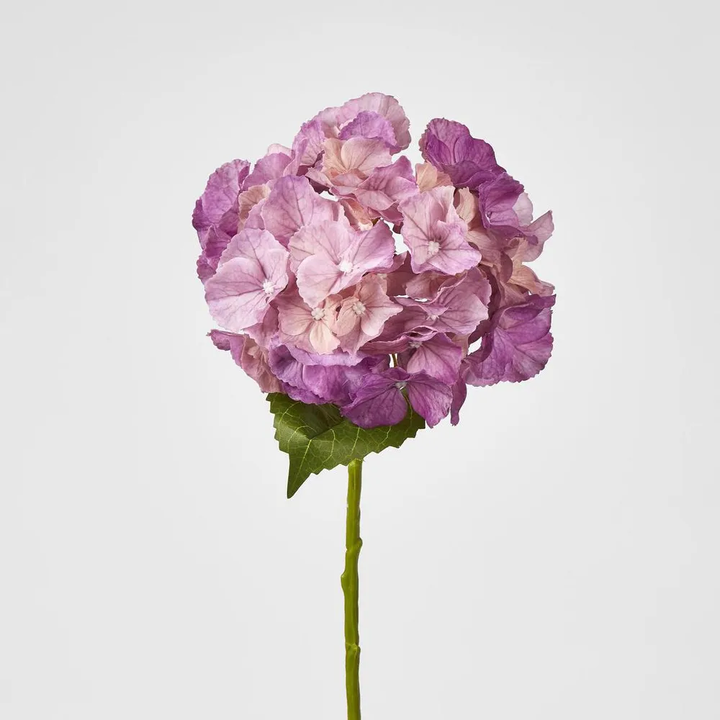 Susan Hydrangea Soft Touch Plum 52cm