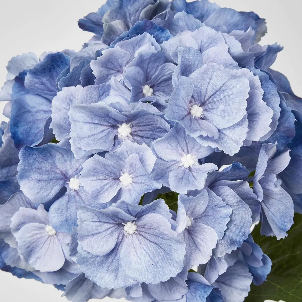 Susan Hydrangea Soft Touch Blue 52cm