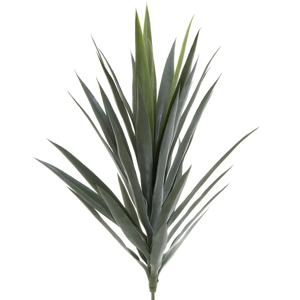 Yucca Head Green 78cm