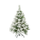 Christmas Decor