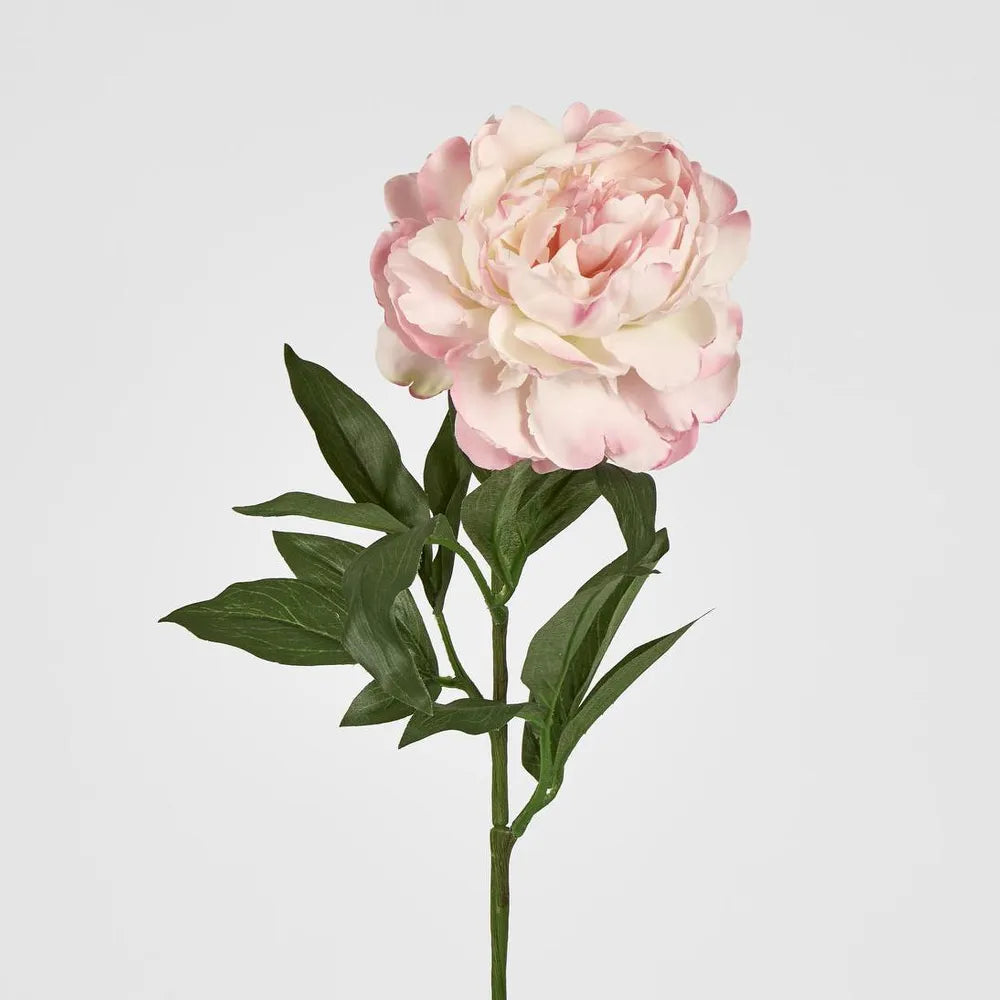 Peony Stem 66cm Pink