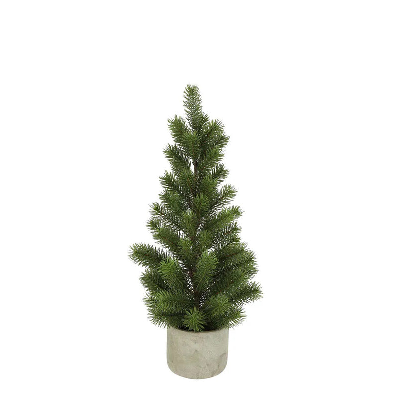 Morfen Potted Pine Tree Large