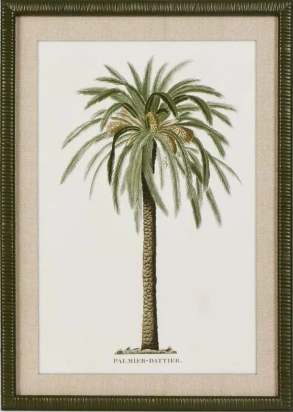 Apia Palms Wall Art C