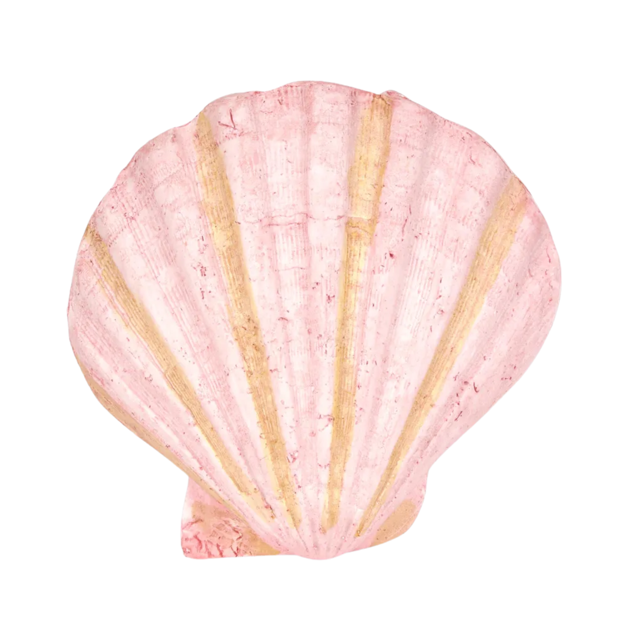 Sadie Pink Shell 13.5X12.5X5CM – OneWorld Collection