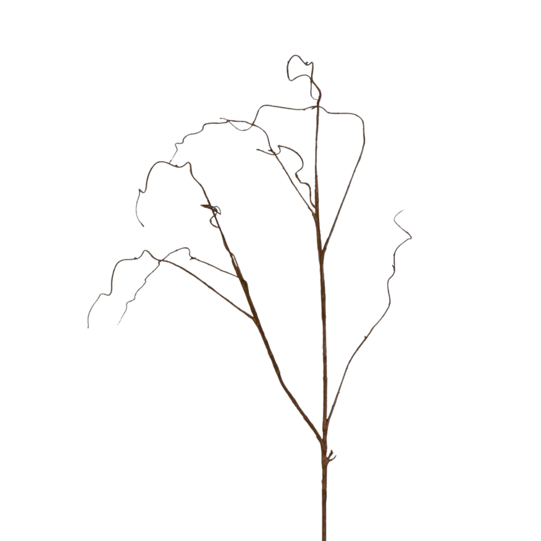 Brown Twig