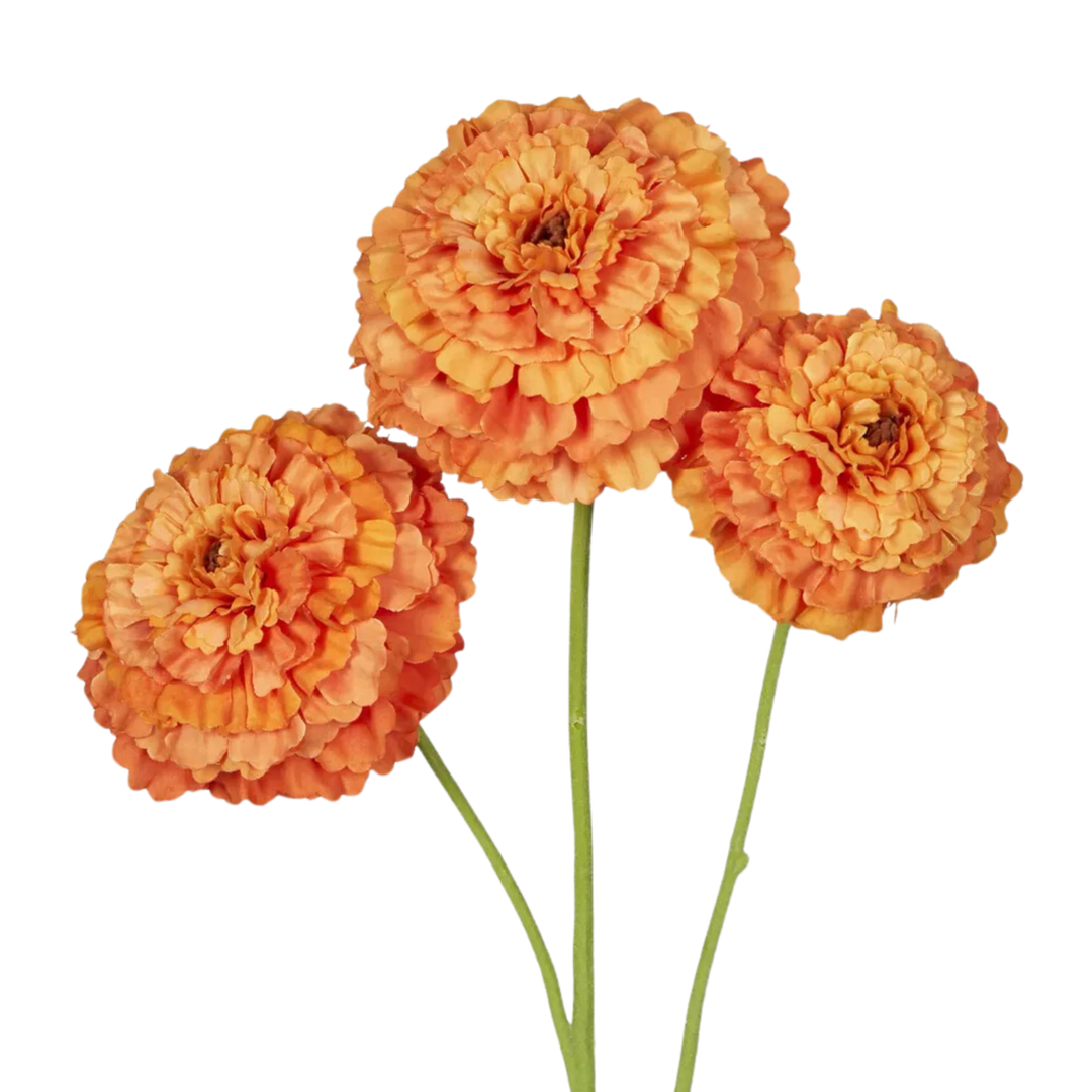 Marigold Spray Orange