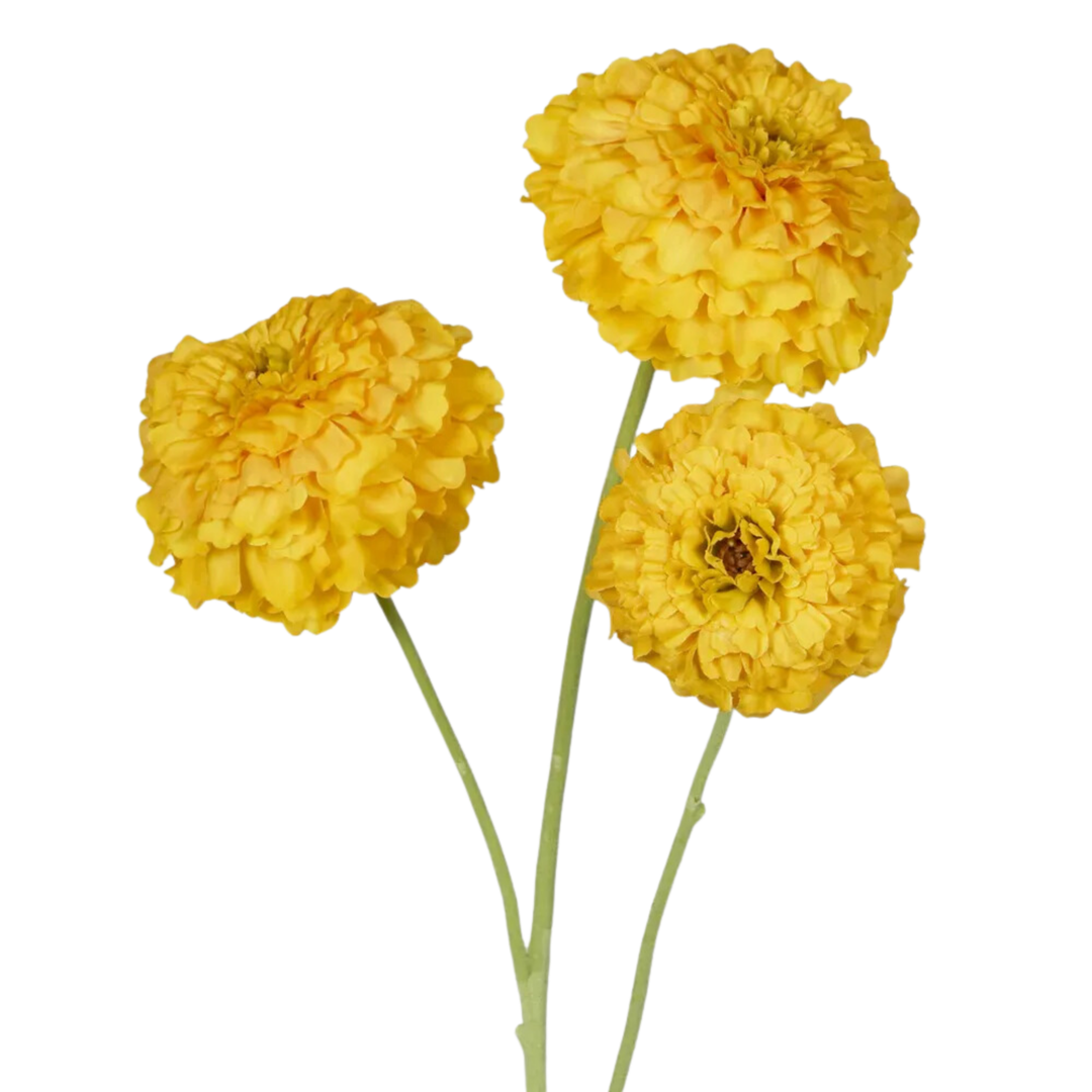 Marigold Spray Yellow