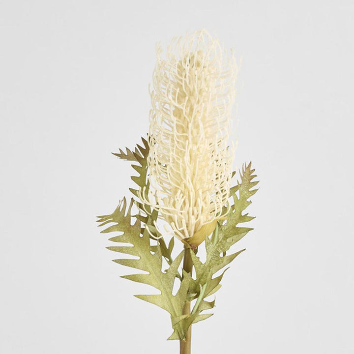 Dried Look Banksia Stem 75cm Cream