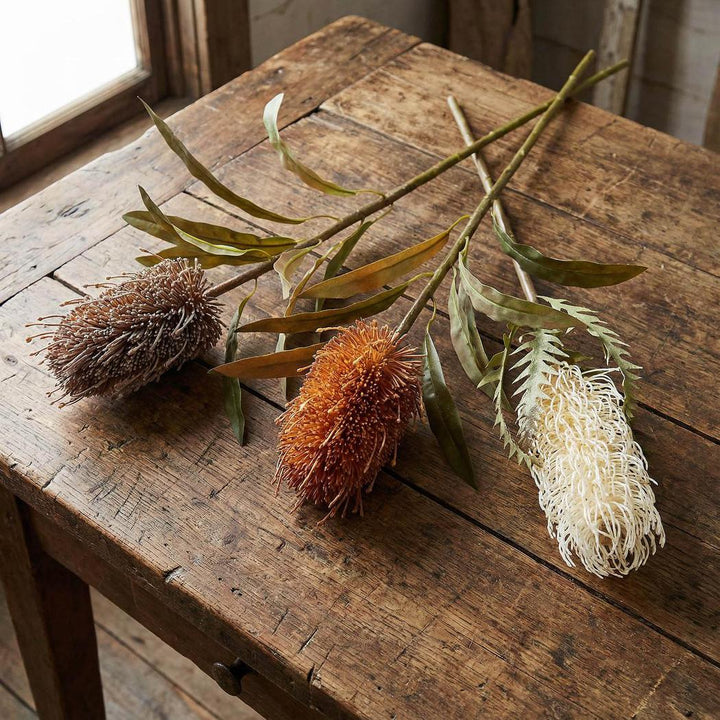 Dried Look Banksia Stem 75cm Cream