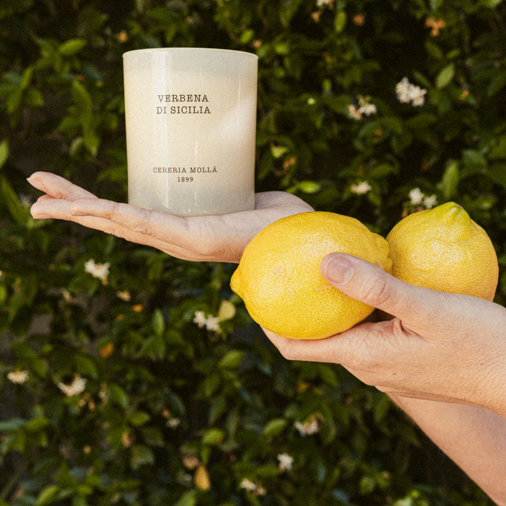 Verbena di Sicilia Premium Candle 230g
