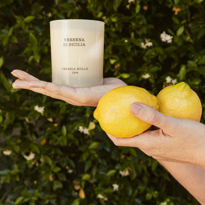 Verbena di Sicilia Premium Candle 230g