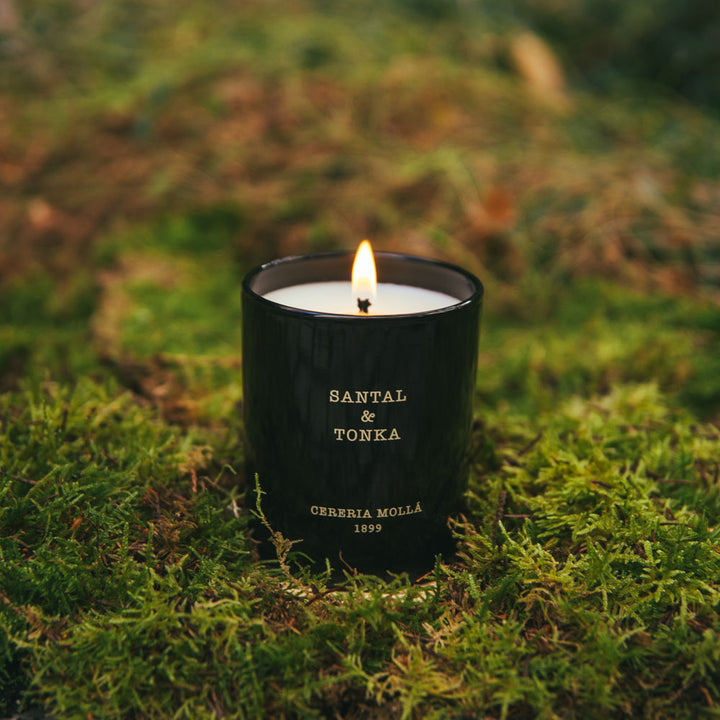 Santal & Tonka Premium Candle 230g