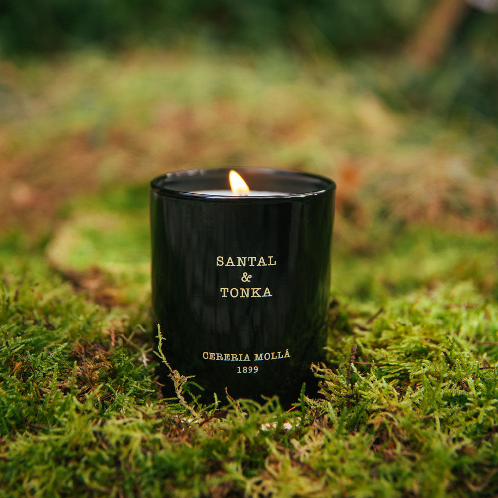Santal & Tonka Premium Candle 230g