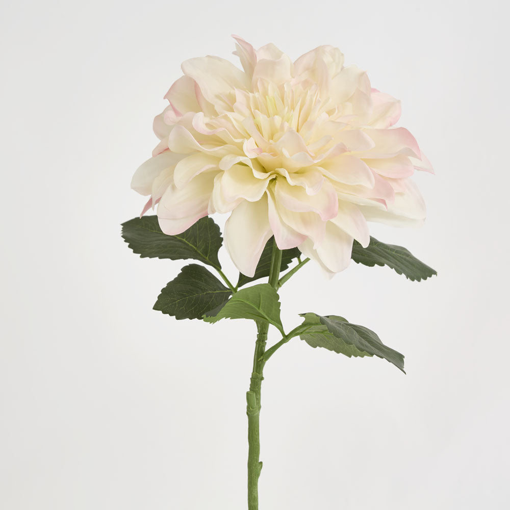 Giant Dahlia Stem 70cm Ice Pink