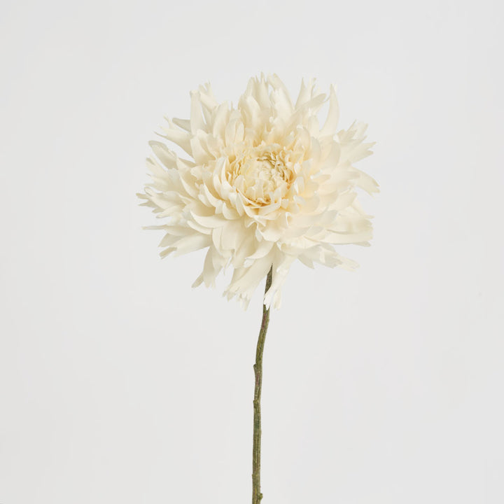 Dahlia Spray 56cm Cream