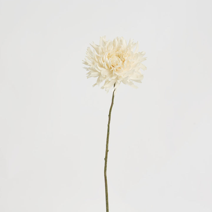 Dahlia Spray 56cm Cream