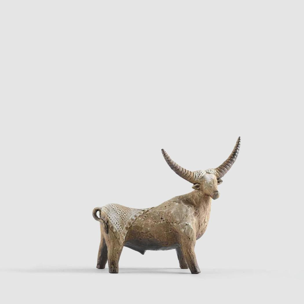 Angus Ceramic Bull Short