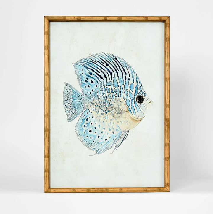 Azure Reef Fish A Wall Art 50x70cm