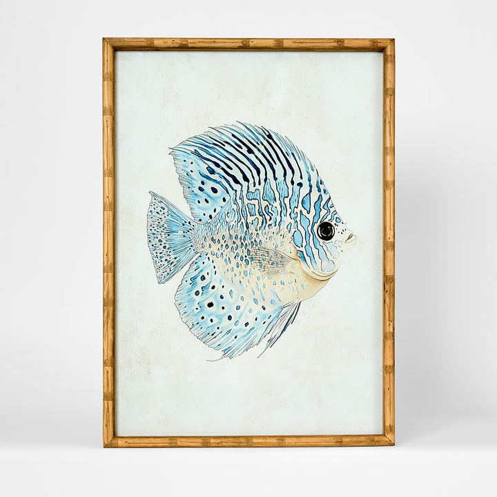 Azure Reef Fish A Wall Art 50x70cm