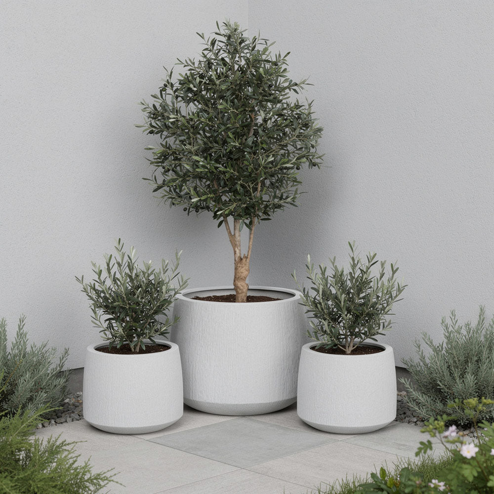 Vita Set of 3 Planter White