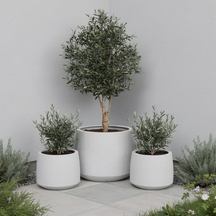 Vita Set of 3 Planter White
