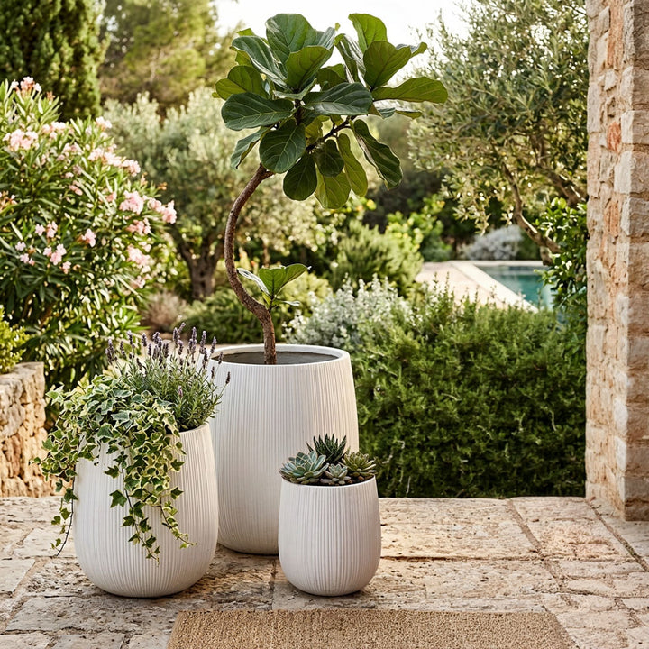Baxter Planter Set of 3 White
