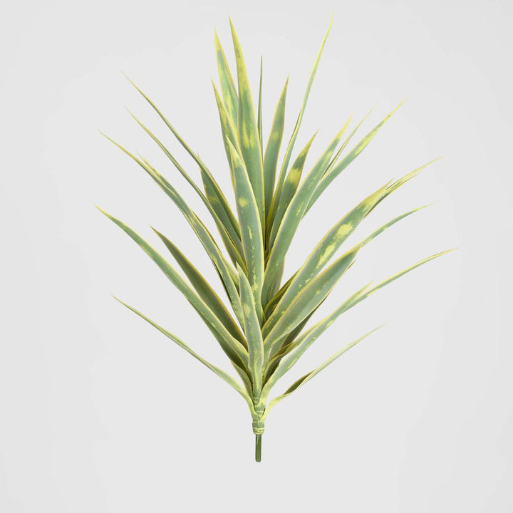 Yucca Head Green 78cm
