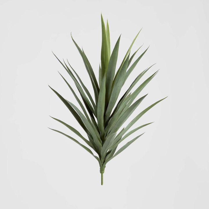 Yucca Head Green 78cm