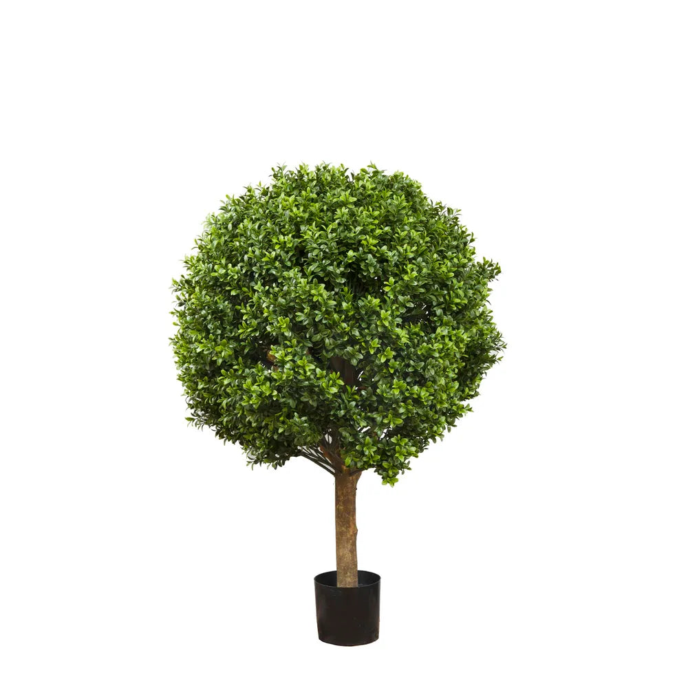 Boxwood Ball Tree 75cm – OneWorld Collection