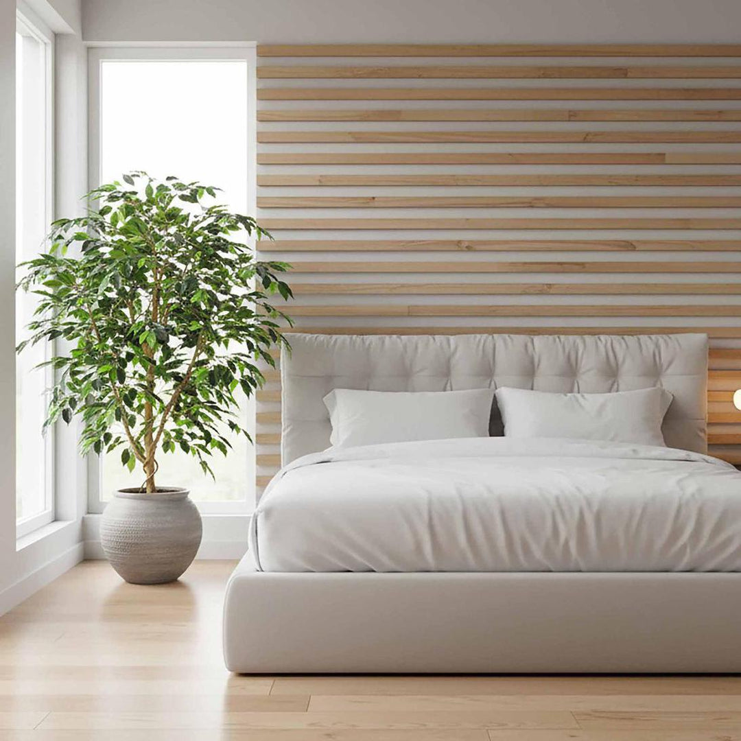 Ficus 1.2m