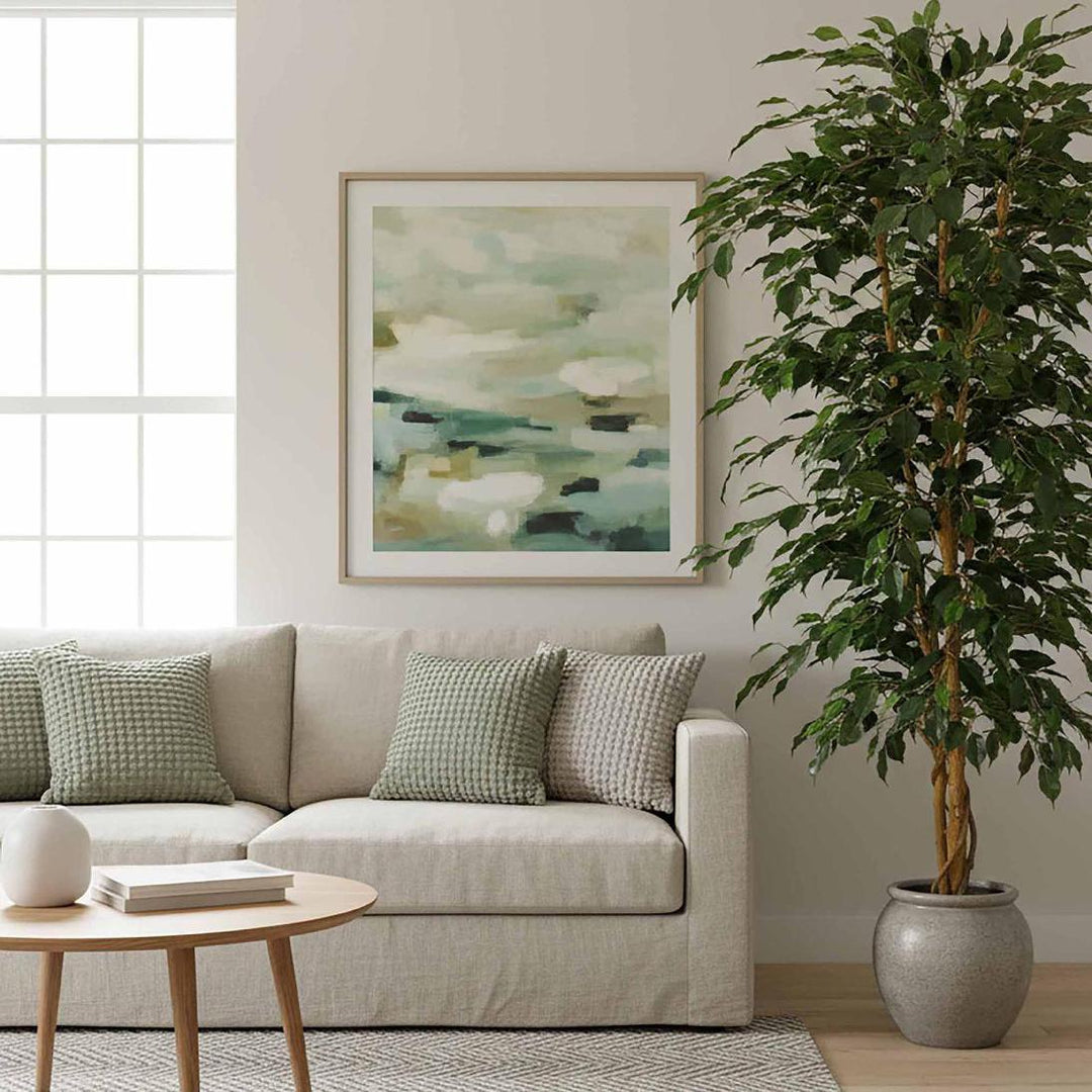 Ficus Retusa Bush Tree 1.8m